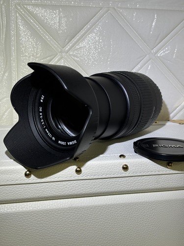 Top mint case sigma - top, in